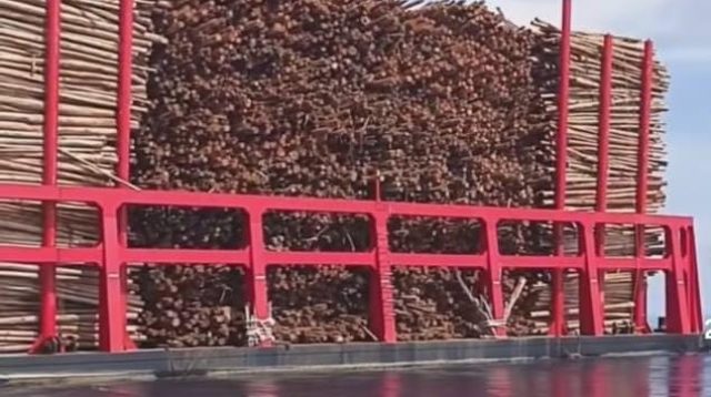 VIRAL DI MEDSOS: KAPAL BERMUATAN RIBUAN KUBIK KAYU JADI SOROTAN, DIDUGA DARI HUTAN KALIMANTAN MENUJU PALEMBANG