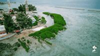 Pulau Pramuka: Lokasi Strategis untuk Penanaman Mangrove & Restorasi Terumbu Karang