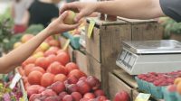5 Tips Mudah Belanja Harian yang Bikin Dompet Kamu Tetap Aman