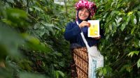 KOLTIVA dan Mitra Dukung Sugata Transformasi Rantai Pasok Kakao Berkelanjutan Gender-Carbon
