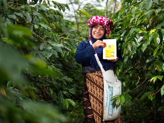 KOLTIVA dan Mitra Dukung Sugata Transformasi Rantai Pasok Kakao Berkelanjutan Gender-Carbon