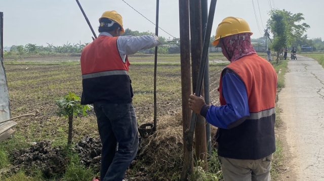 Terkait Pemasangan PJU di Desa Jati Baru Dikonfirmasi Kepala Disperkimtan dan Pelaksana Bungkam ”?