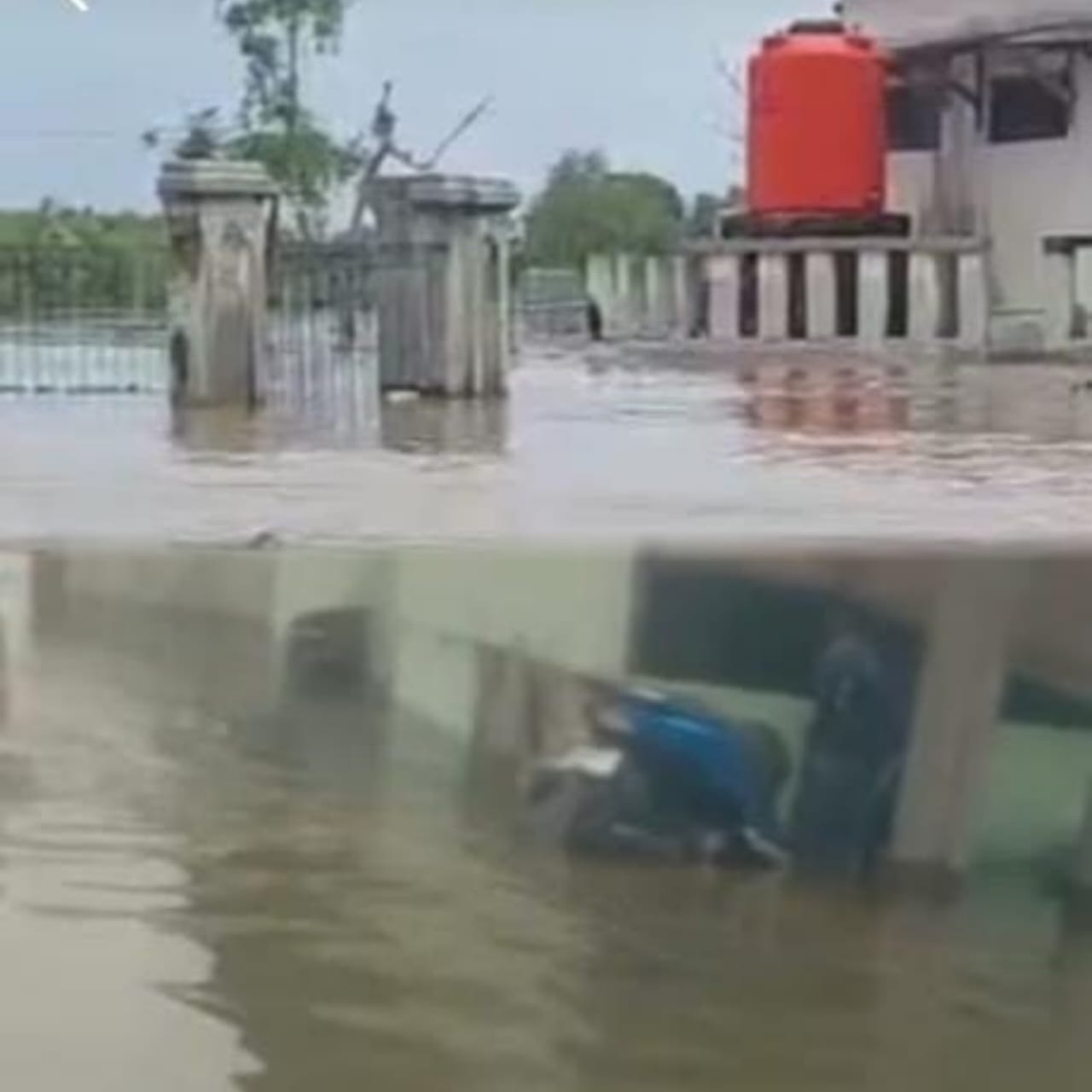 Petani Tambak di Muaragembong Menjerit Ribuan Hektare Tambak Terendam Banjir Rob