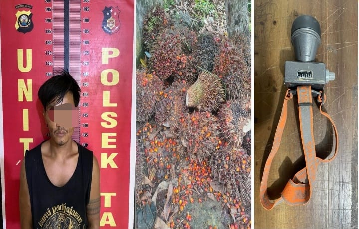 Polsek Talang Ubi Ungkap Kasus Pencurian Sawit, Satu Pelaku Diamankan