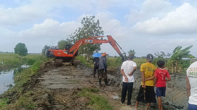 Atasi Banjir dan Kekeringan Sawah, DSDABMBK Kabupaten Bekasi Geber Tanggap Darurat Normalisasi Saluran Sekunder Gamprit