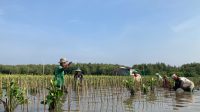 LindungiHutan Ajak Publik Rayakan Hari Menanam Pohon Indonesia dengan Aksi Nyata di Tengah Krisis Iklim