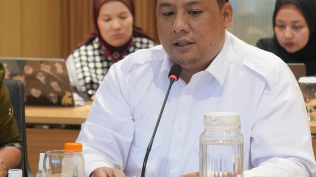 Tingkatkan Standar KSPN, Bupati Samosir Usulkan Anggaran Rp416 Miliar ke Menkes RI