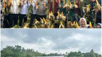 Polres PALI Dukung Ketahanan Pangan Nasional, Panen Perdana Jagung Hibrida di Desa Talang Akar