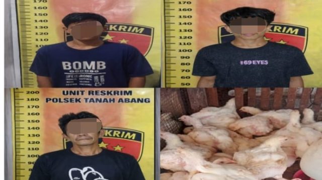 Kepolisian Sektor Tanah Abang, Membongkar Praktik Penggelapan Ayam