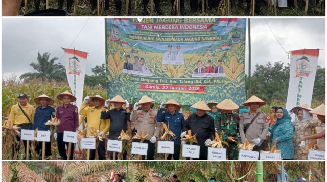 Panen Perdana Jagung Hibrida di Simpang Tais, Polres PALI Dukung Ketahanan Pangan Nasional