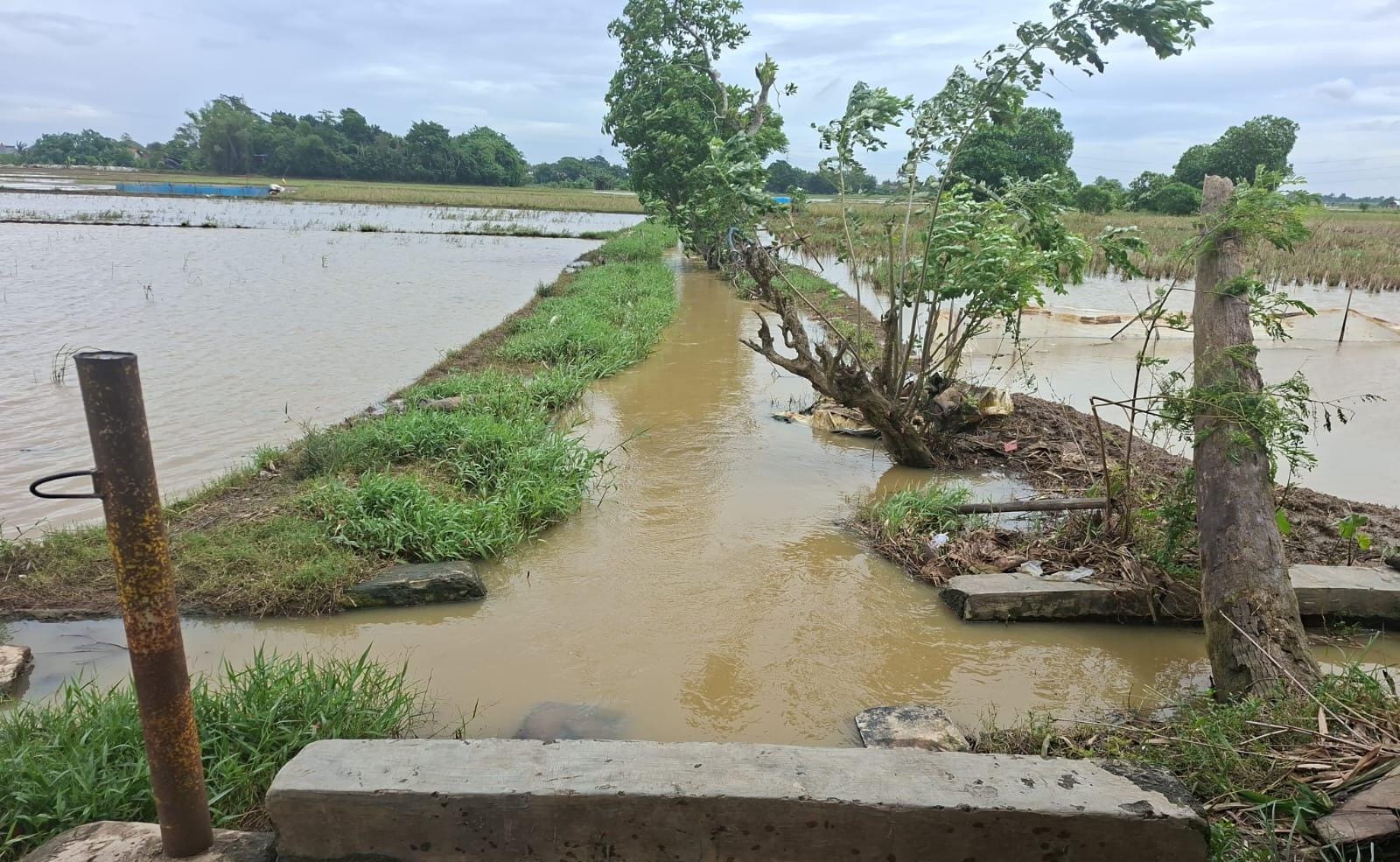 Drainase Rusak Parah, Darsum Kritik Pemkab Bekasi: Sertajaya Seolah Dianaktirikan