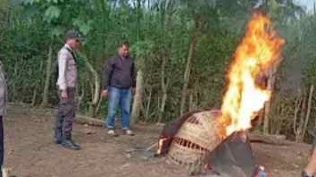 Polres Malang Bongkar Arena Judi Sabung Ayam di Kalipare Malang