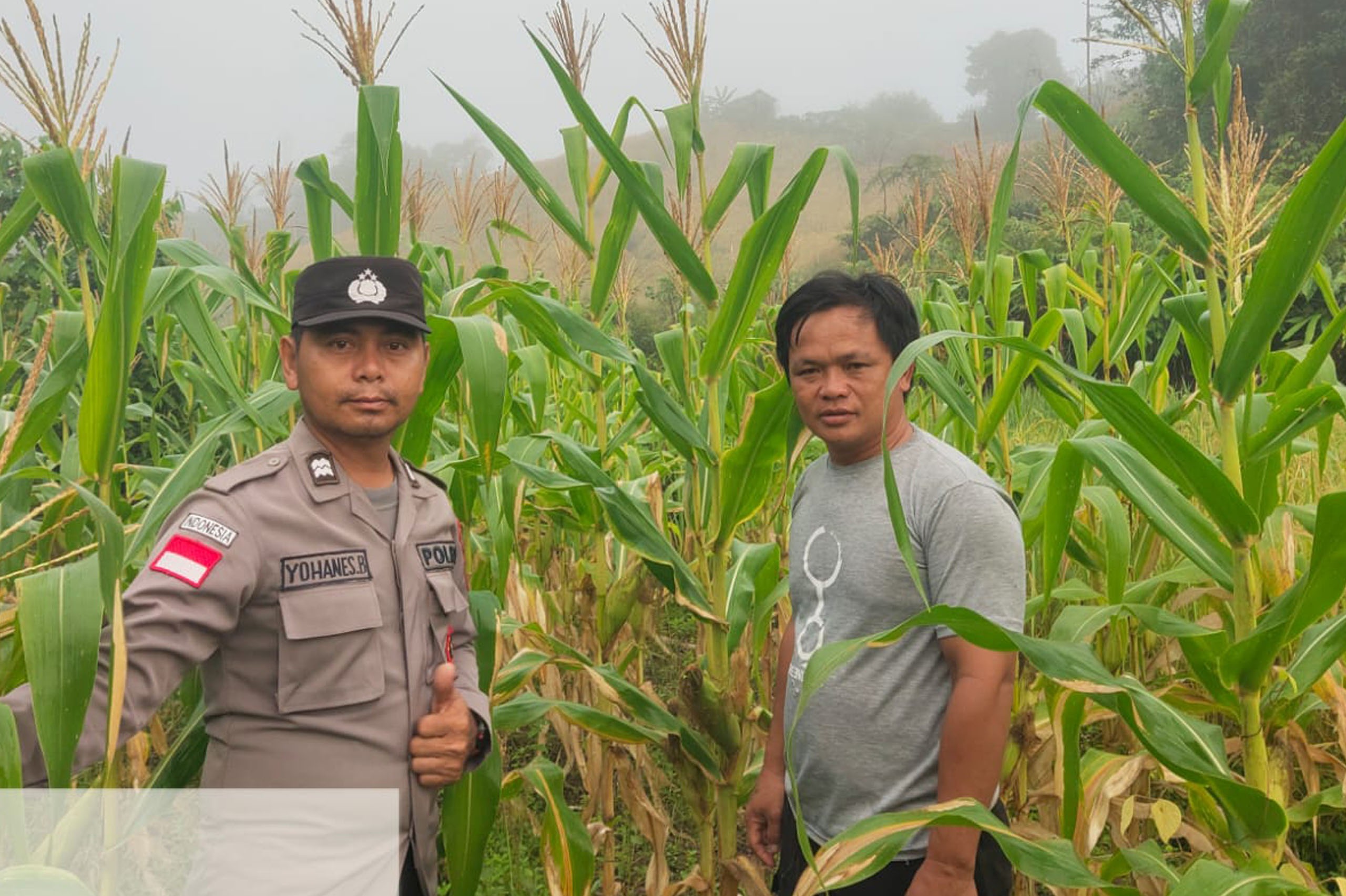 Sinergi Polri dan Warga, Pengolahan Lahan Pertanian Digencarkan di Kayan Hulu