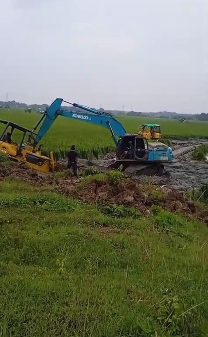 Padi Menguning Berujung Nestapa, Syahwat Pengembang Gilas’ Harapan Petani Pasir Sari Cikarang
