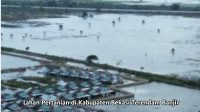 Pascabanjir, Pemkab Bekasi Salurkan 9,7 Ton Benih Padi untuk Petani Cabangbungin