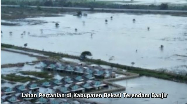 Pascabanjir, Pemkab Bekasi Salurkan 9,7 Ton Benih Padi untuk Petani Cabangbungin