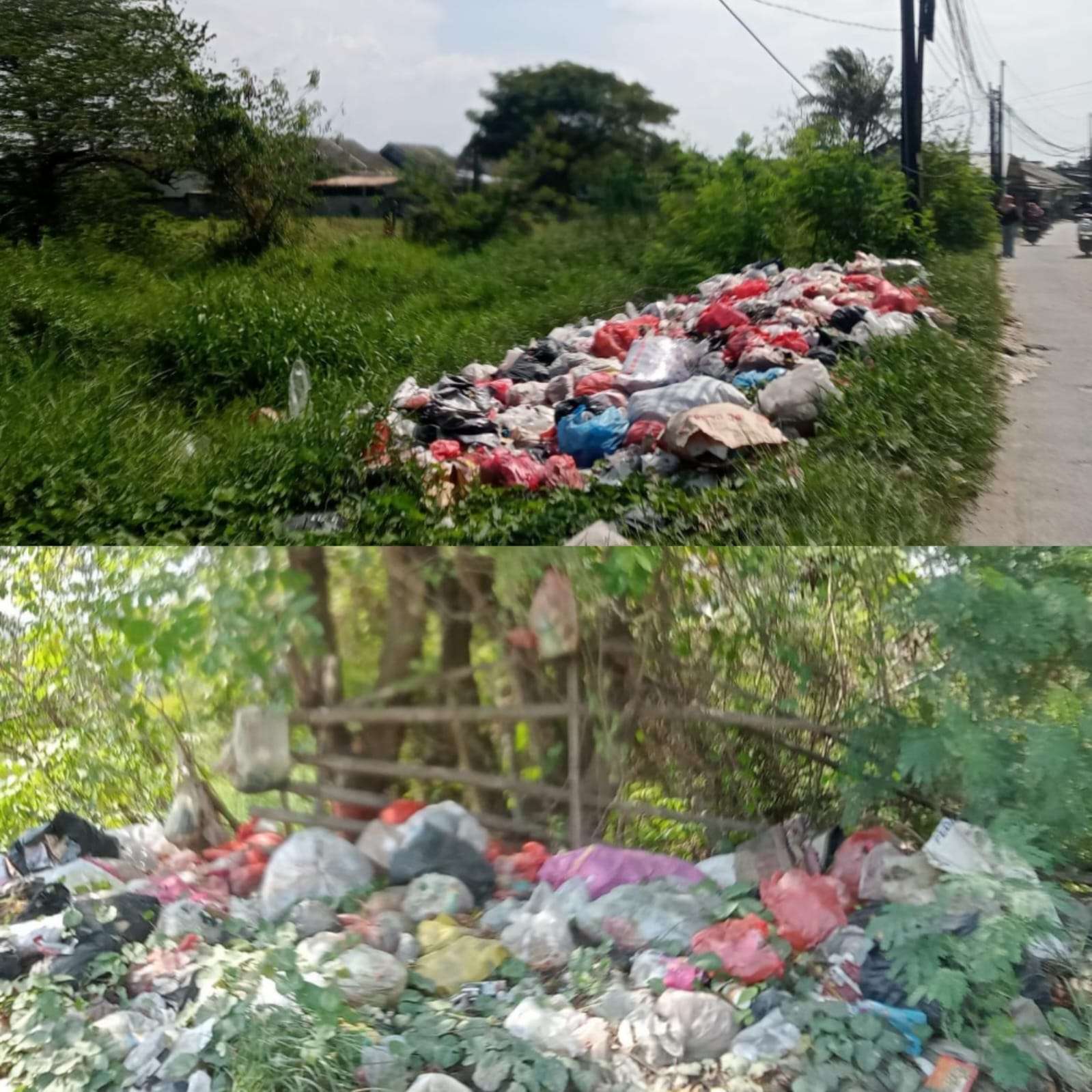 Jorok Tumpukan Sampah di Jalan Tambelang-Warung Satu Buni Ayu Resahkan Warga