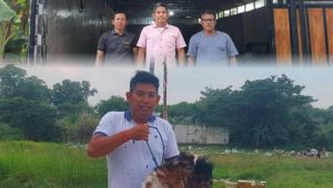 Berdayakan Ekonomi Desa, BUMDes Kalijaya Pastikan Stok Hewan Qurban Berkualitas Jelang Iduladha