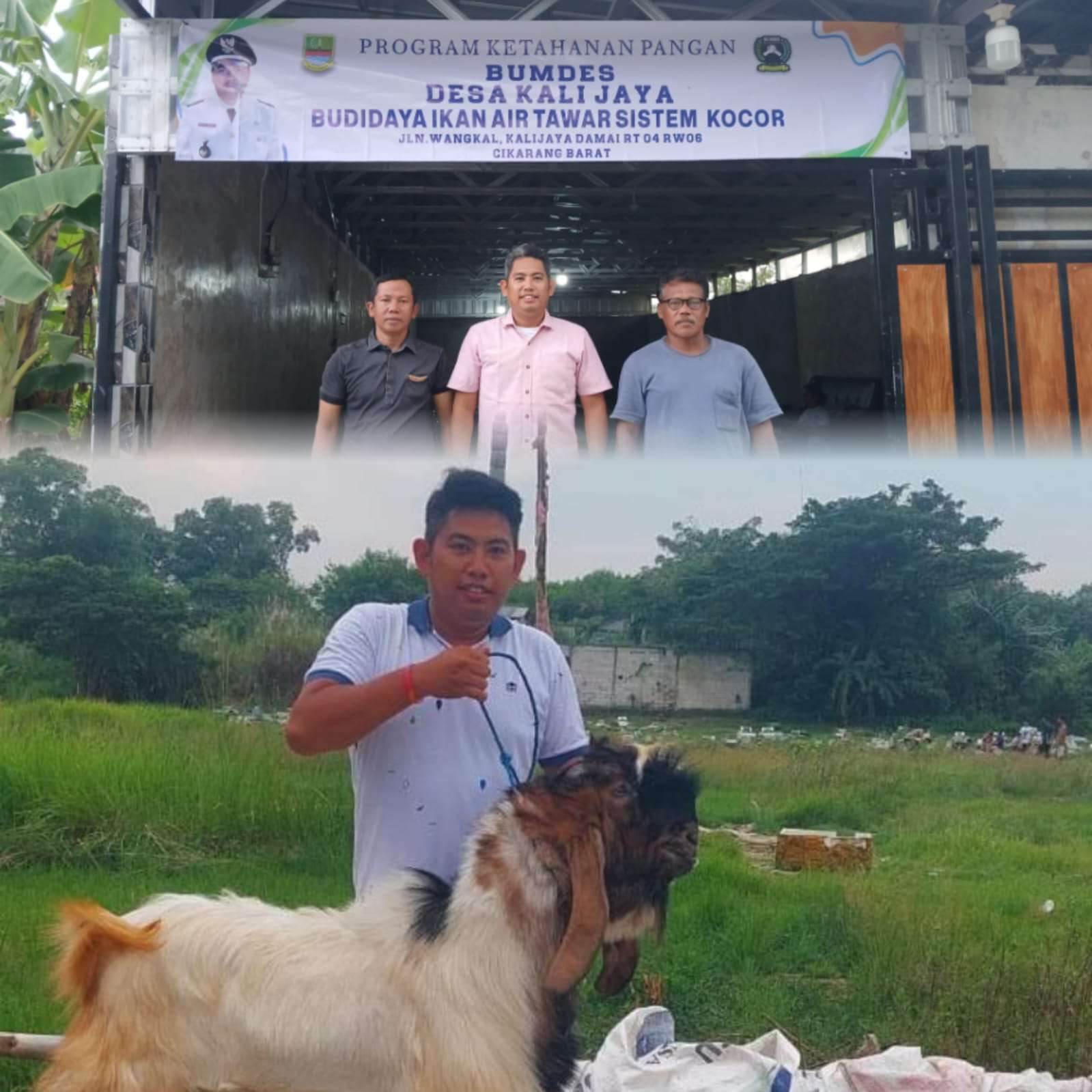 Berdayakan Ekonomi Desa, BUMDes Kalijaya Pastikan Stok Hewan Qurban Berkualitas Jelang Iduladha