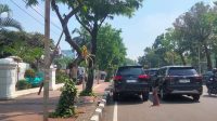 Sudah Ada Rambu Larangan, Diduga Mobil Pejabat Parkir Sembarang di Depan Gedung Kemenko PMK
