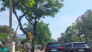 Sudah Ada Rambu Larangan, Diduga Mobil Pejabat Parkir Sembarang di Depan Gedung Kemenko PMK