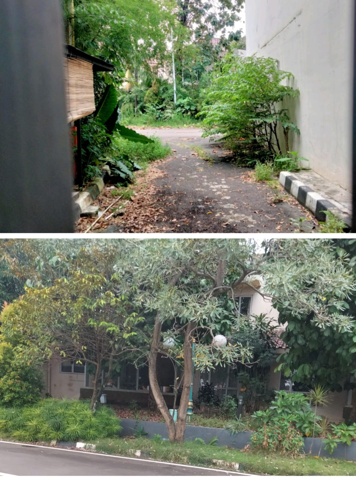 Dahulu Terawat, Kini Eks Komplek DPR RI Kalibata Dipenuhi Rumput Ilalang dan Seperti Rumah Hantu