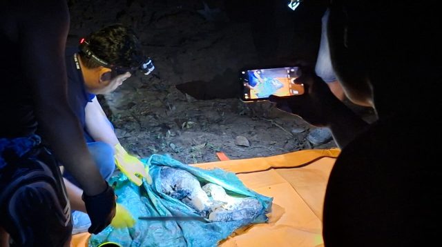 Gempar! Lansia di Lahat Diduga Jadi Korban Mutilasi, Jasad Ditemukan dalam Tiga Karung