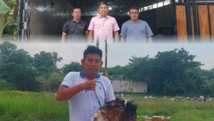 Berdayakan Ekonomi Desa, BUMDes Kalijaya Pastikan Stok Hewan Qurban Berkualitas Jelang Iduladha