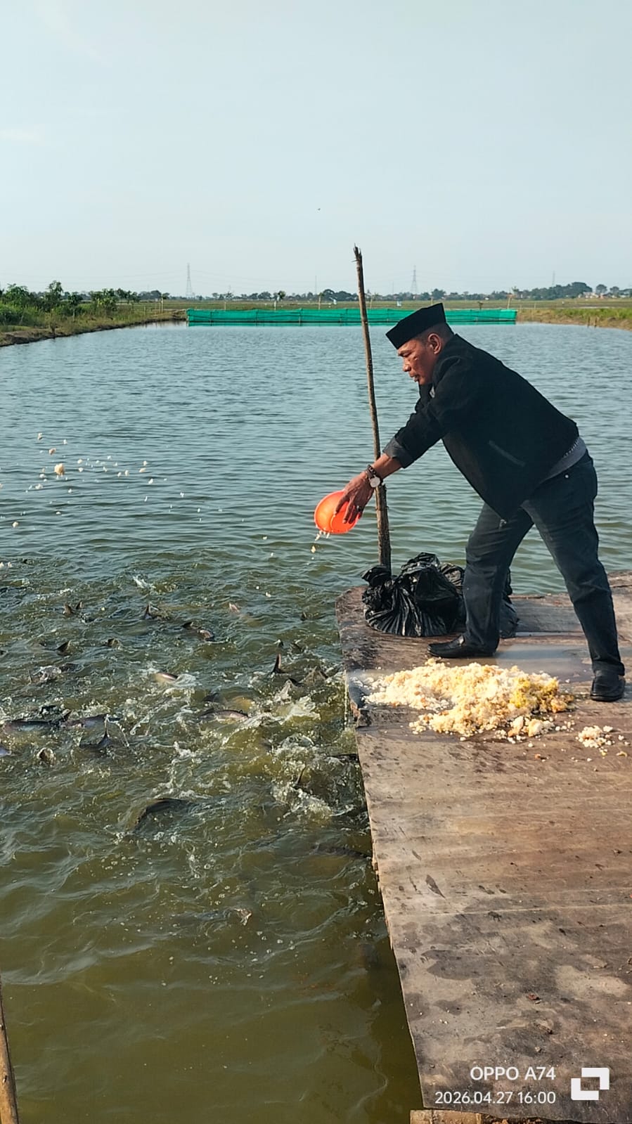 Optimalkan Ketahanan Pangan, Kades Karangsari Bangga Budidaya Ikan Patin BUMDes Siap Panen