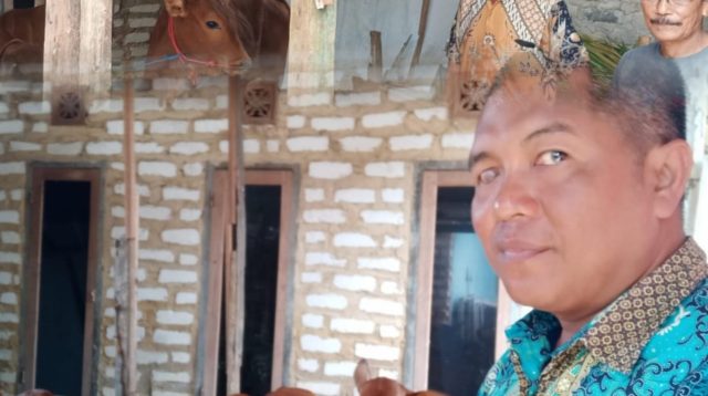 Inovasi Penggemukan Sapi di Desa Talang Jadi Kajian Ketahanan Pangan Mandiri Sumenep