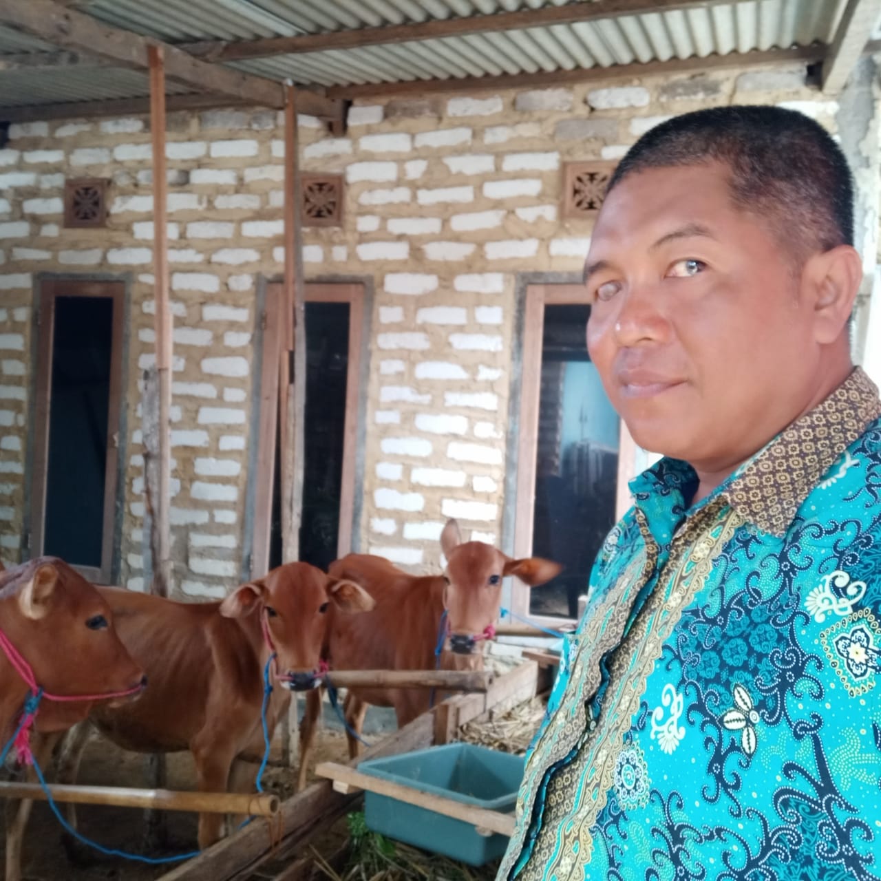 Keterangan Foto : Pengusaha penggemukan Sapi di Desa Talang Saronggi Kab. Sumenep, Anis Jakfar Noer bersama pendiri, Yayasan Pusaka Desa Mandiri, A. Zaini