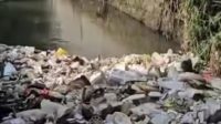 Sampah Numpuk di Kali, Kota Depok Kurang Peduli Terhadap Kebersihan Lingkungan