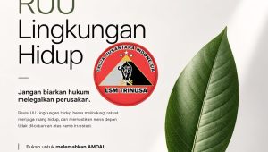 Soroti Celah Investasi, LSM Triga Nusantara Desak Revisi RUU Lingkungan Tak ‘Obral’ Amdal