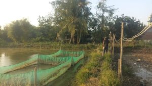 Ketua JPKP Kabupaten Bekasi Apresiasi Klarifikasi BUMDes Labansari Terkait Program Ketahanan Pangan 2025 Ketua JPKP Kabupaten Bekasi Apresiasi Klarifikasi BUMDes Labansari Terkait Program Ketahanan Pangan 2025