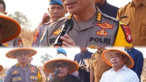 4 Hektare Lahan di Cikarang Pusat Mulai Dipanen, Polres Bekasi Targetkan Total 54 Hektare Jagung