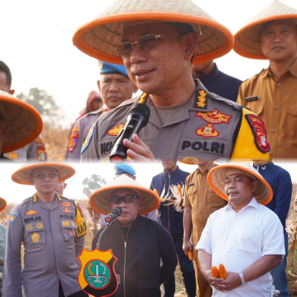 4 Hektare Lahan di Cikarang Pusat Mulai Dipanen, Polres Bekasi Targetkan Total 54 Hektare Jagung