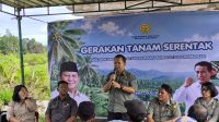 Tanam Serentak Hilirisasi Perkebunan, Pemkab Tapanuli Utara Perkuat Pengembangan Kopi Arabika