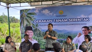 Tanam Serentak Hilirisasi Perkebunan, Pemkab Tapanuli Utara Perkuat Pengembangan Kopi Arabika Tanam Serentak Hilirisasi Perkebunan, Pemkab Tapanuli Utara Perkuat Pengembangan Kopi Arabika