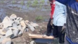 Proyek Siluman P3A-Mitra Cai di Sukamurni Sukakarya Tabrak UU KIP dan Diduga Pakai Material Asal-Asalan