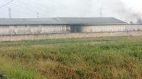 Diduga Tak Berizin dan Cemari Sawah, Gudang Plastik di Karang Bahagia Bekasi Gaji Pekerja Rp35 Ribu