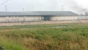 Diduga Tak Berizin dan Cemari Sawah, Gudang Plastik di Karang Bahagia Bekasi Gaji Pekerja Rp35 Ribu
